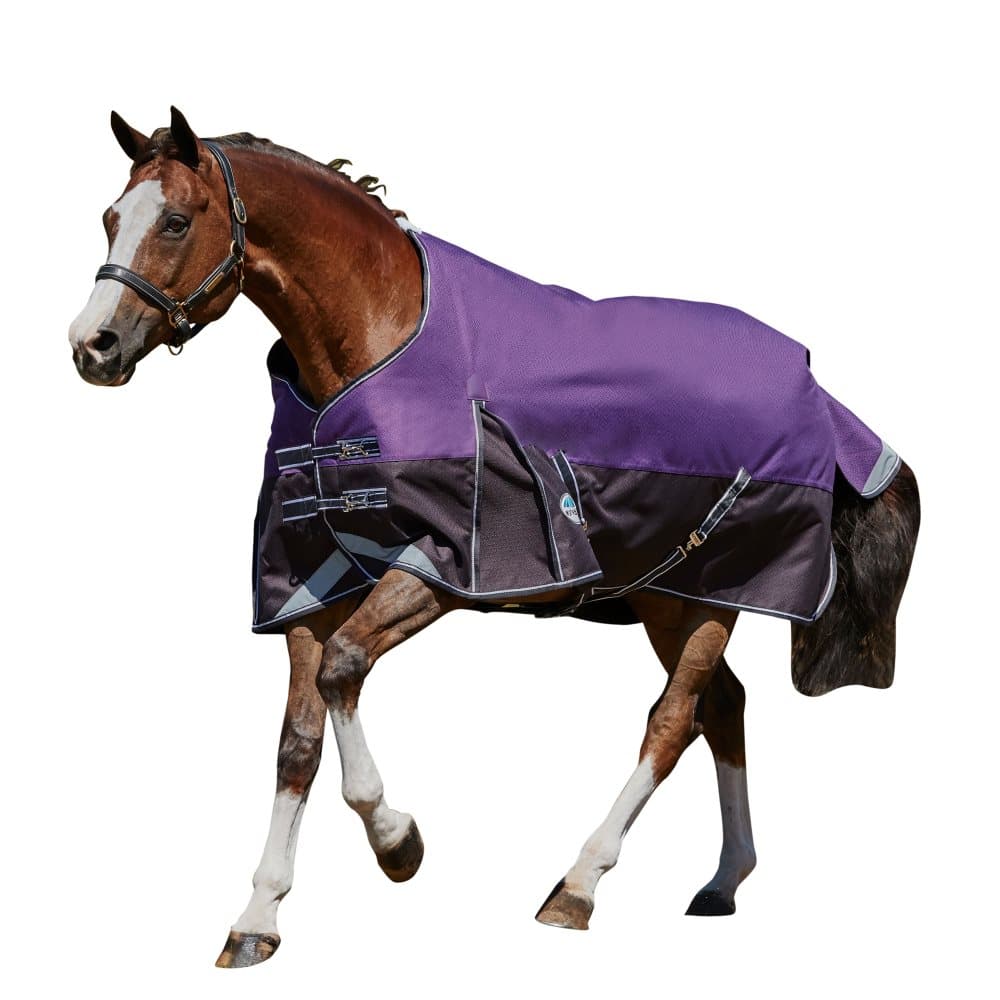 Weatherbeeta Comfitec Plus Lite Dynamic Standard Neck Turnout Rug