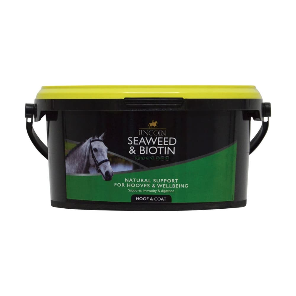 Lincoln Seaweed & Biotin Supplement