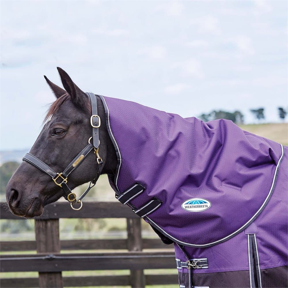 Weatherbeeta Comfitec Plus Dynamic Medium Neck Rug