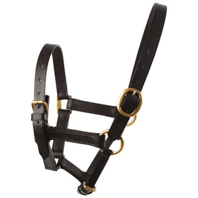 JHL Leather Foal Headcollar