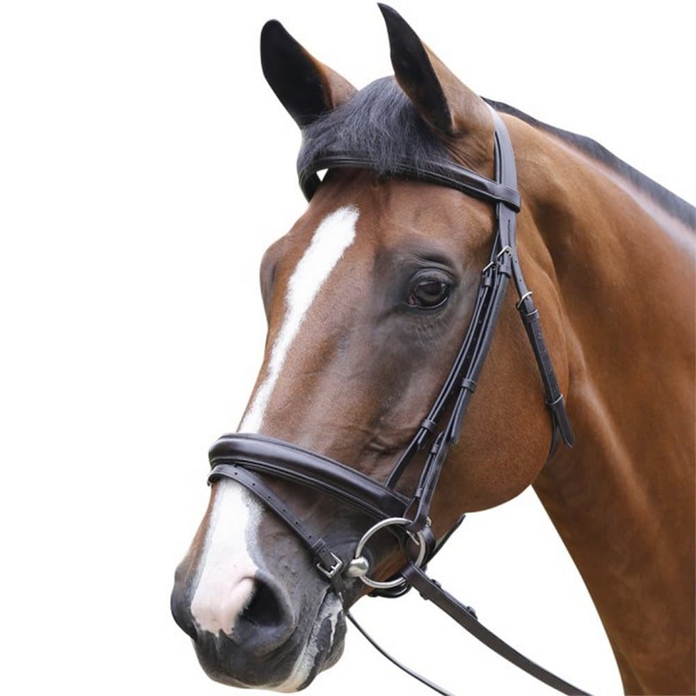 Mark Todd Piped Patent Performance Bridle with Flash Noseband
