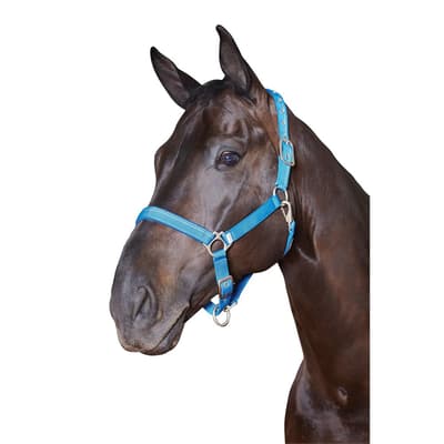 Roma Supreme Headcollar