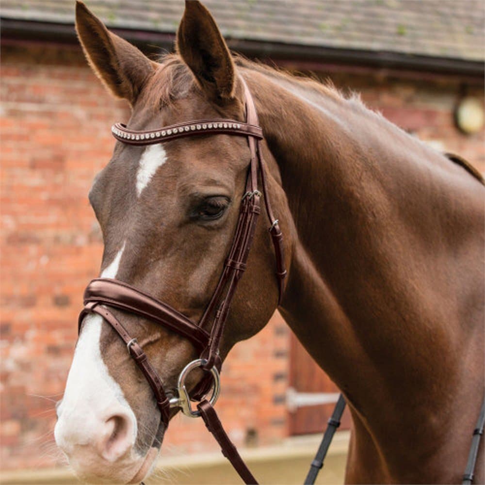Mark Todd Crystal Dressage Bridle