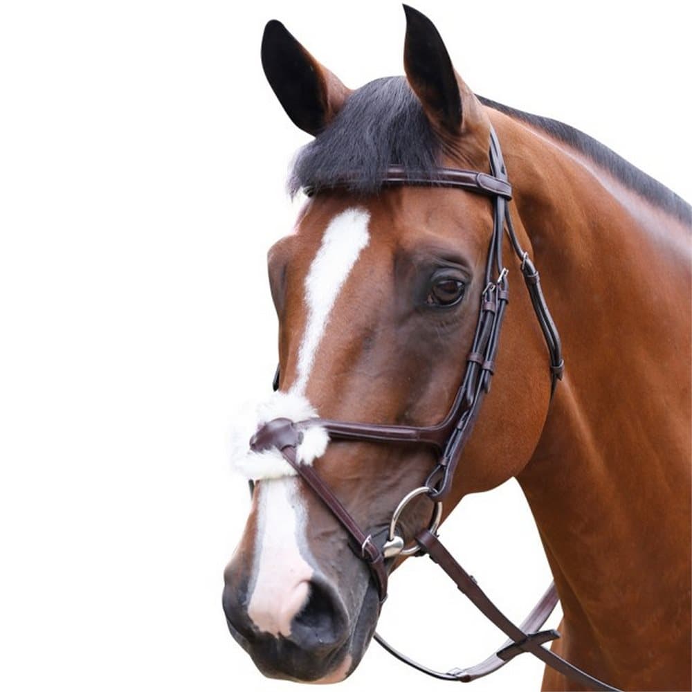 Mark Todd Figure of 8 Performance Bridle