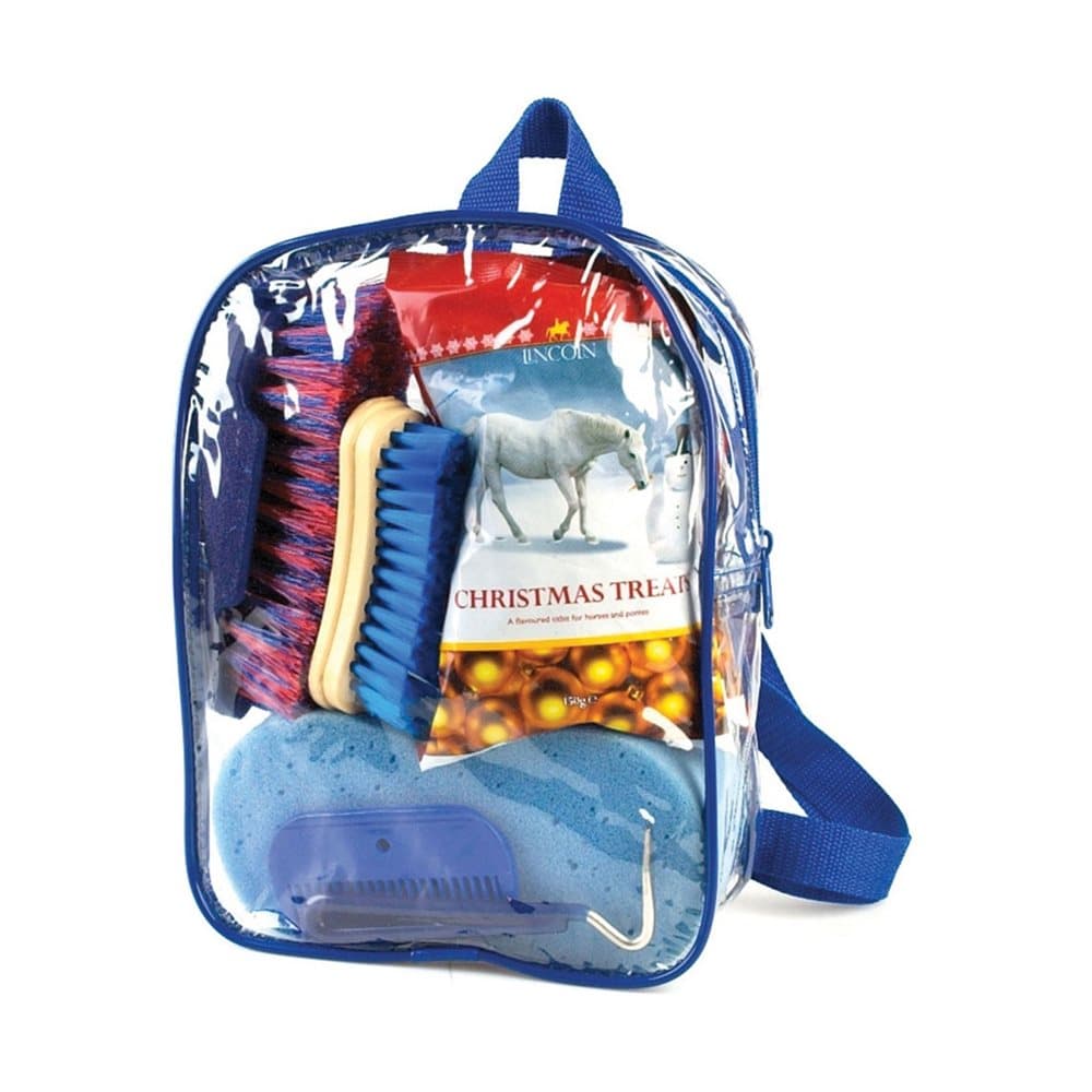 Lincoln Treat Bag