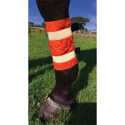 Equisafety Quilted Leg Boots