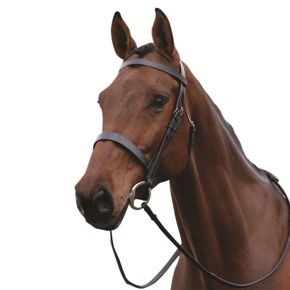 Kincade Hunt Leather Cavesson Bridle II