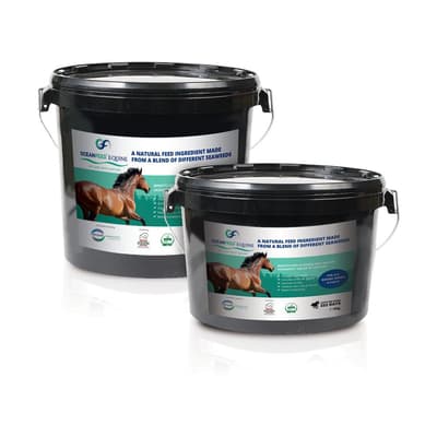 Oceanfeed