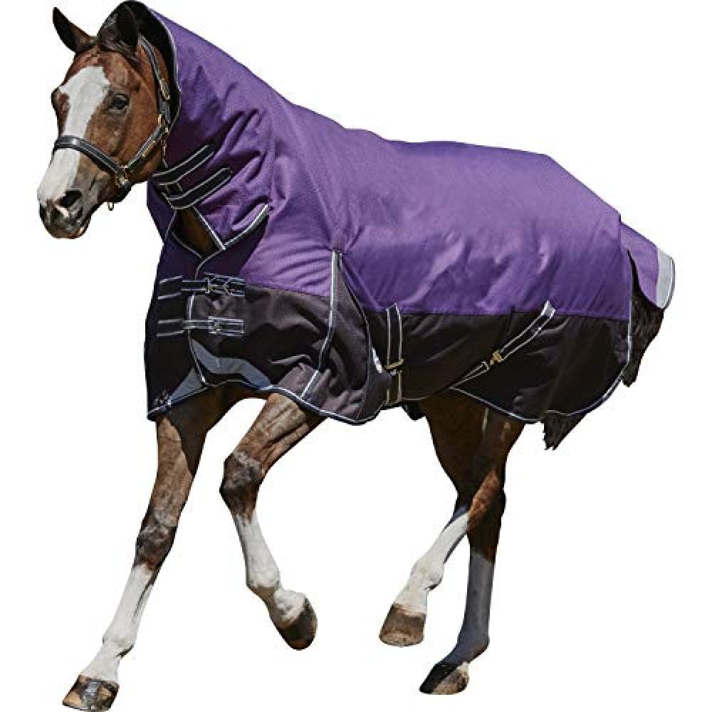 Weatherbeeta Comfitec Plus Medium/Lite Dynamic Combo Neck Rug