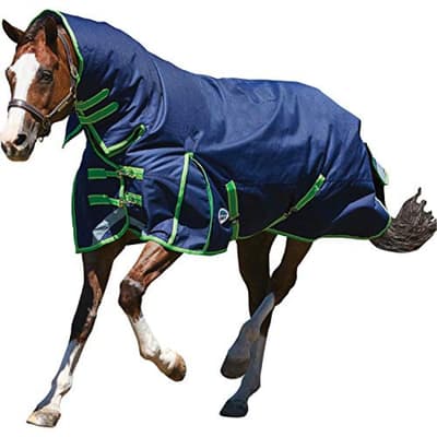 Weatherbeeta Comfitec Medium / Lite Plus Dynamic Combo Neck Turnout Rug