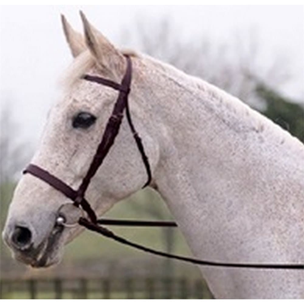 Cottage Craft Lincoln Bridle With Plain Reins