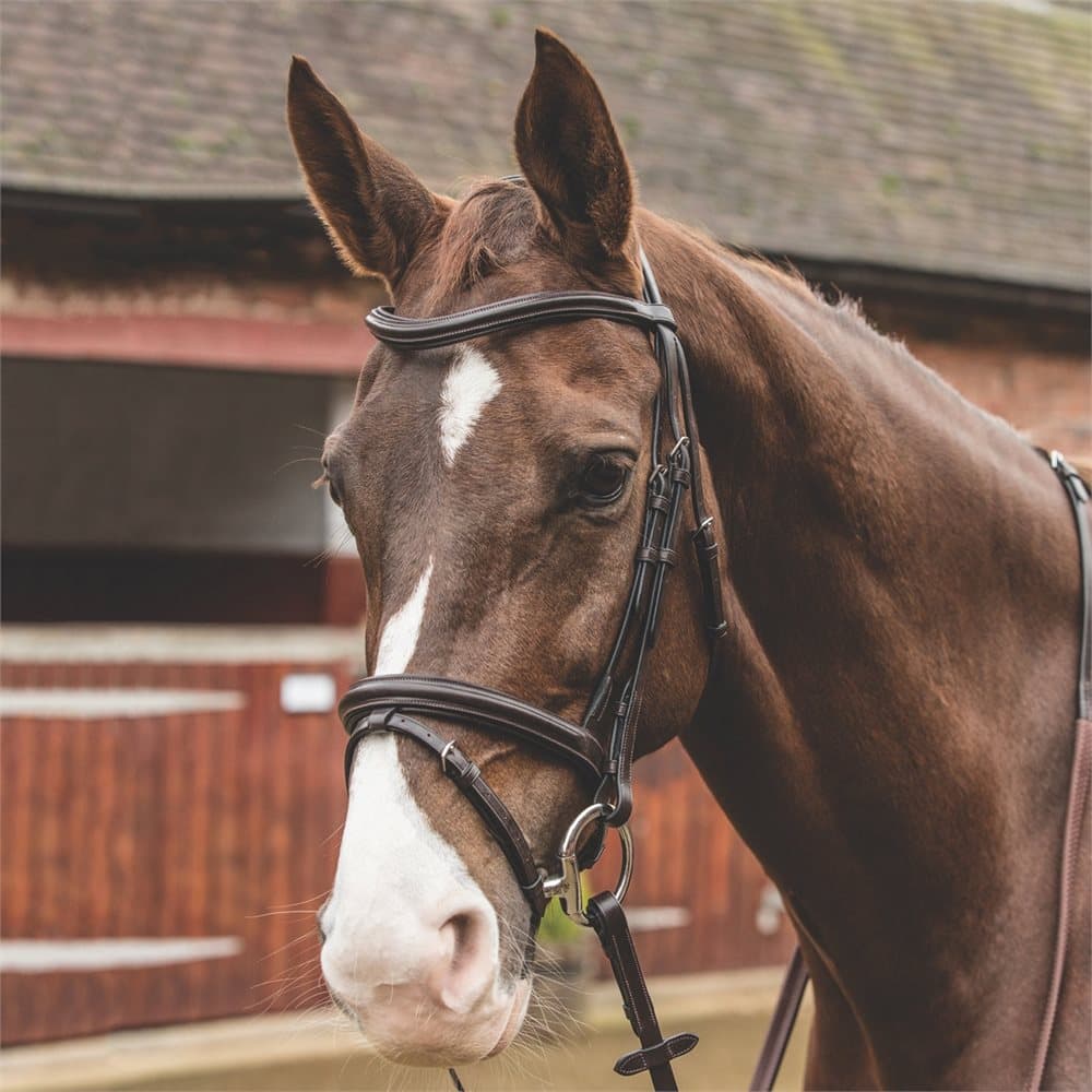 Mark Todd Cut Away Bridle