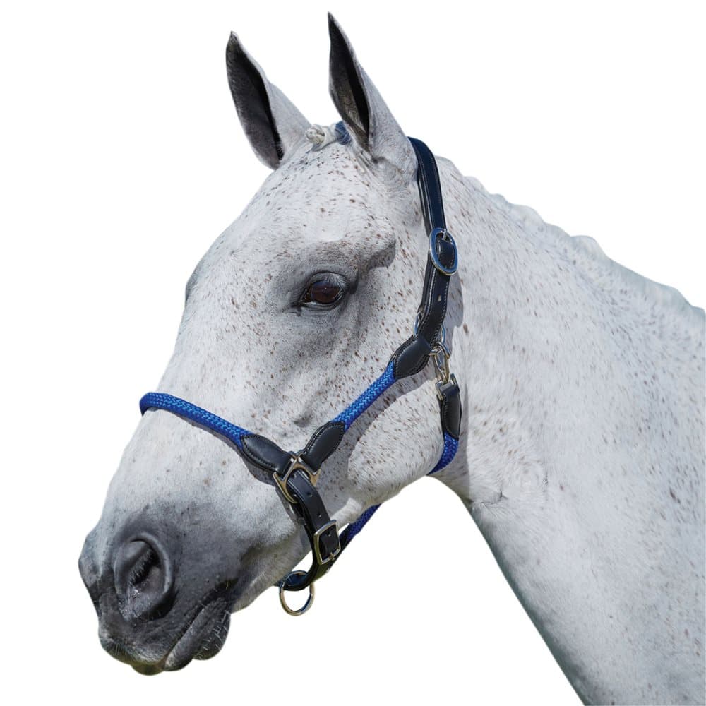 Kincade Leather Rope Headcollar
