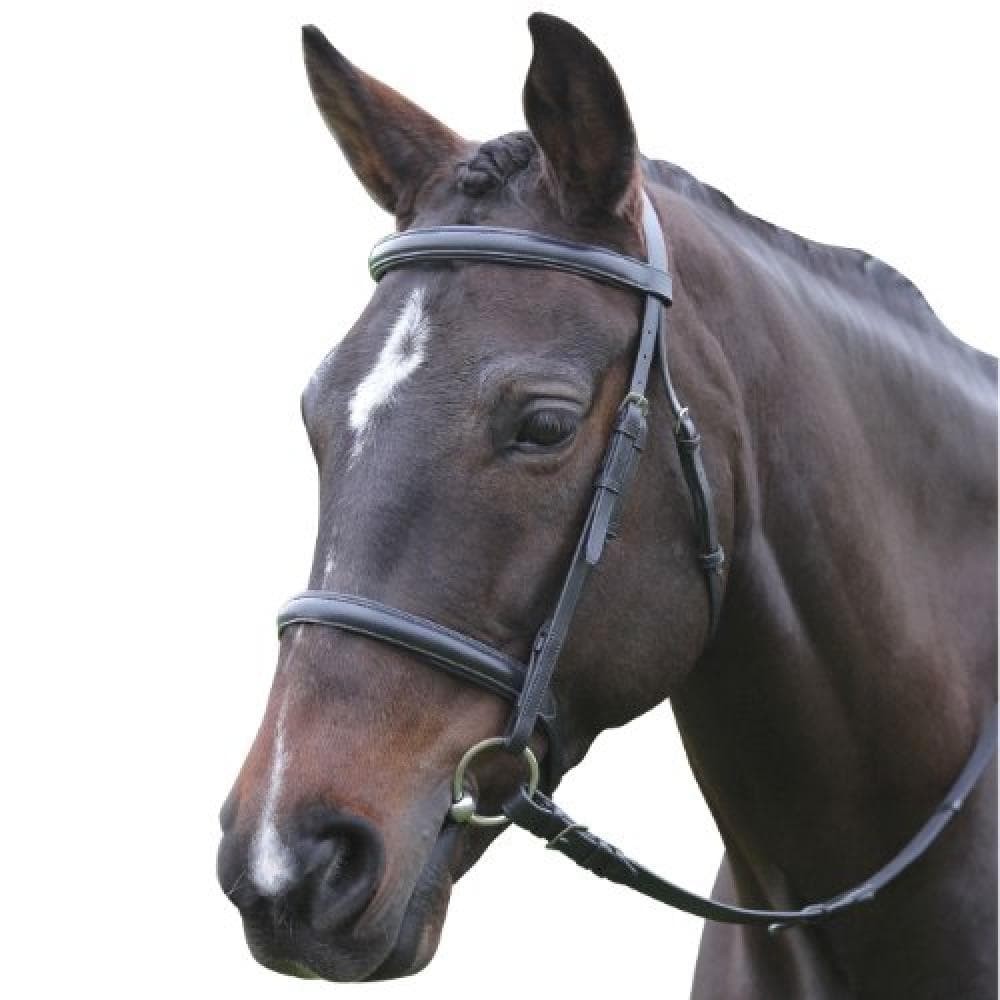 Kincade Leather Raised Cavesson Bridle II