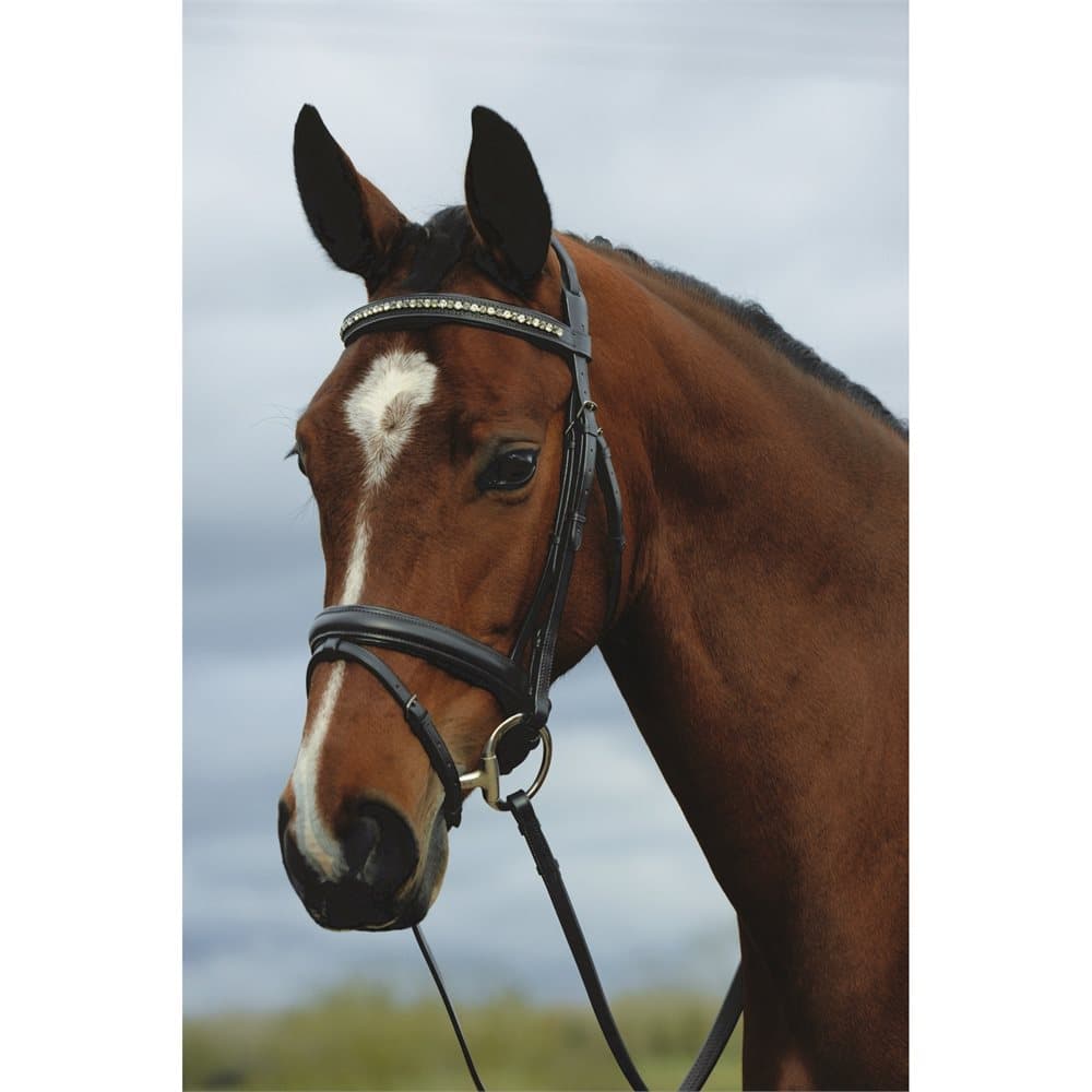 Kincade Leather Padded Crystal Crank Flash Bridle