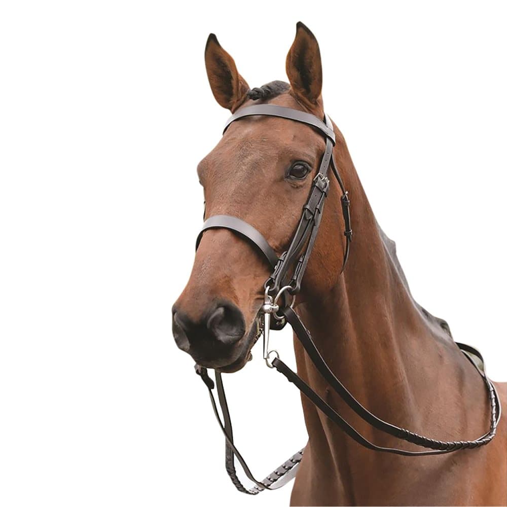 Kincade Läder Show Weymouth Bridle II