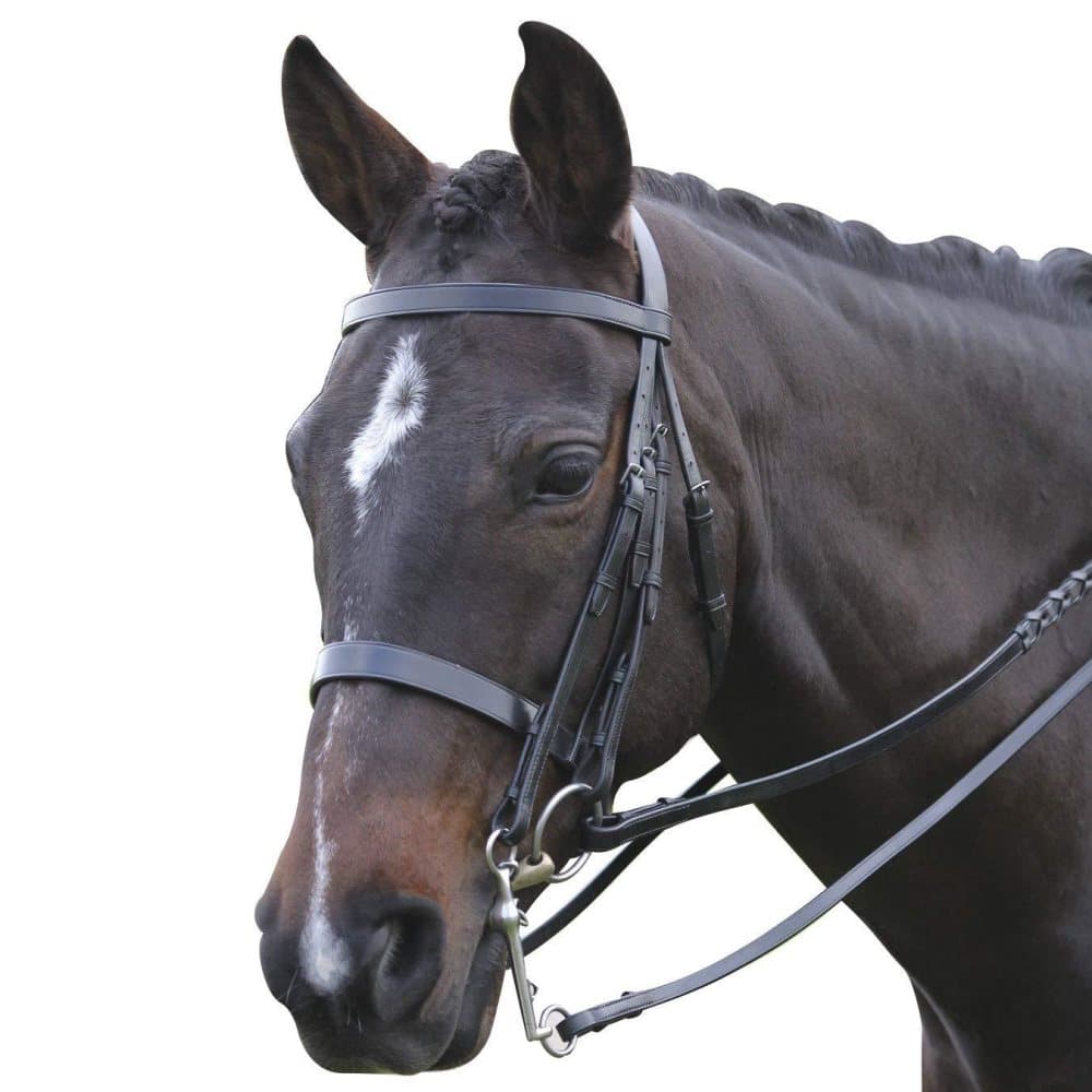 Kincade Leather Show Weymouth Bridle II