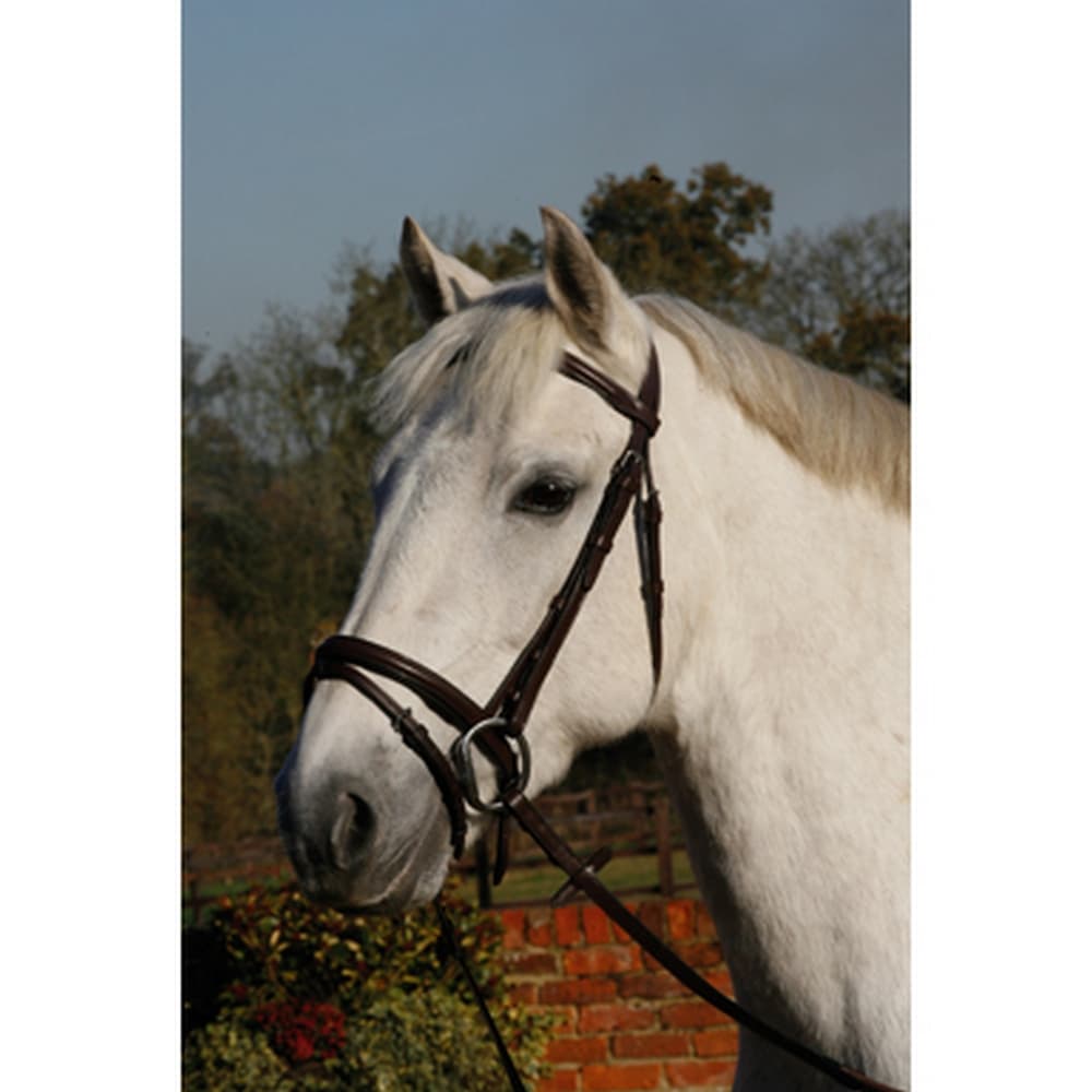 JHL Flash Bridle