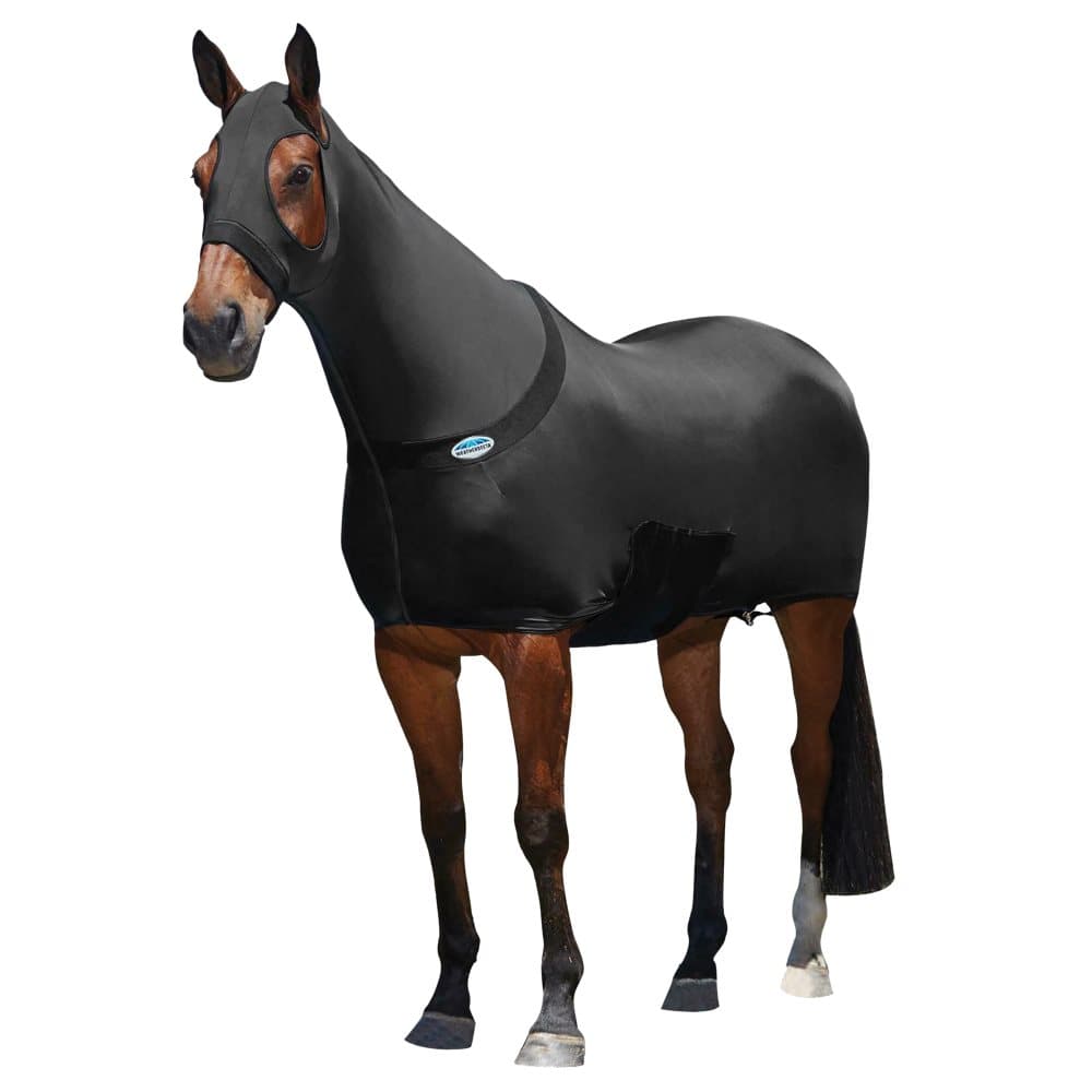 Weatherbeeta Stretch Rug