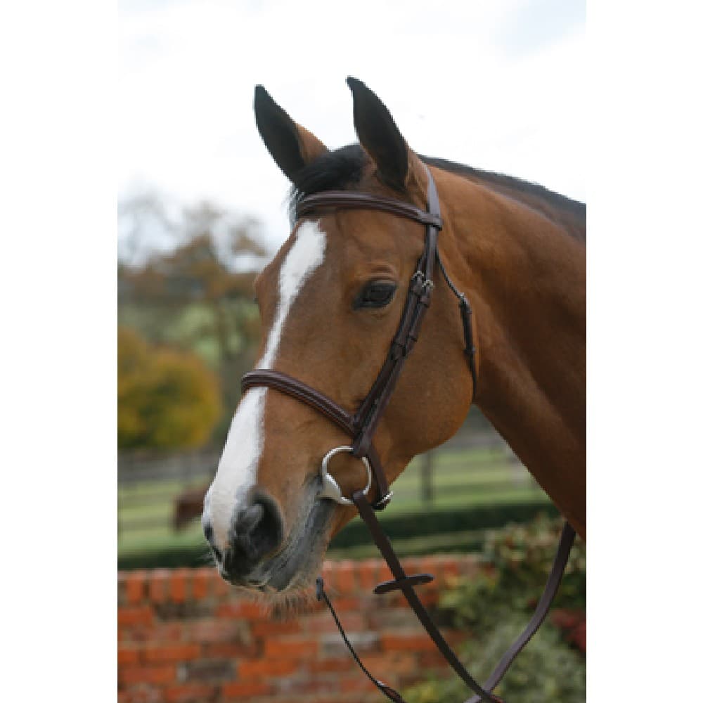 Mark Todd Plain Raised Bridle med Cavesson Noseband