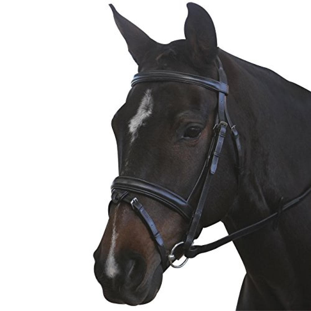 Kincade Leather Padded Headpiece Flash Bridle