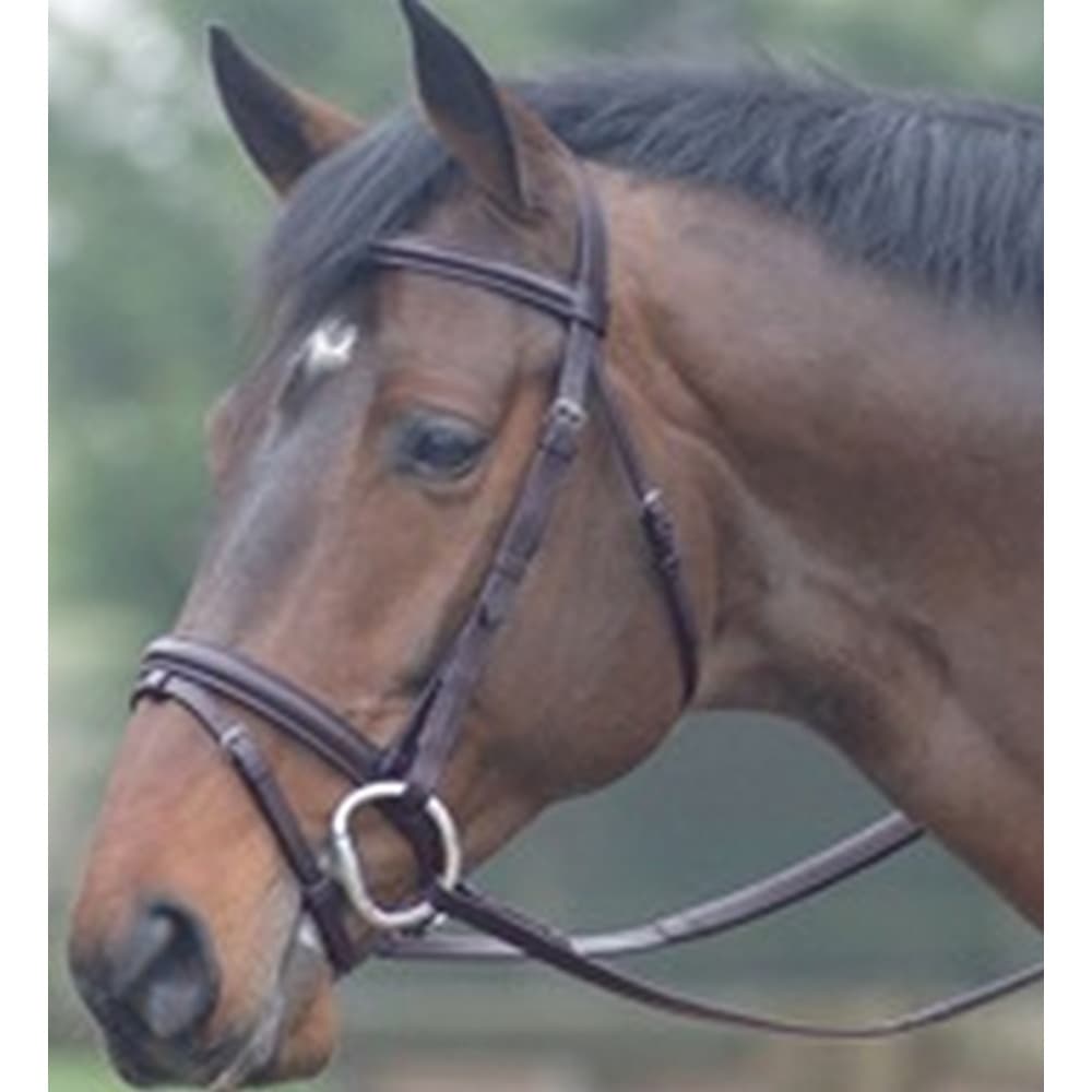 Cottage Craft Oxford Bridle With Rubber Reins