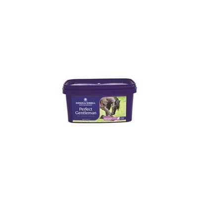 Dodson & Horrell Perfect Gentleman Horse Supplement