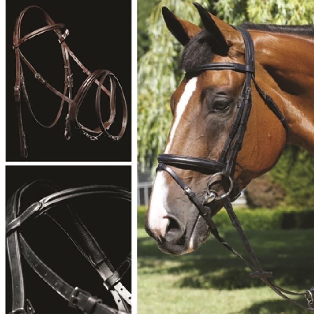 Mark Todd Performance Flash Bridle