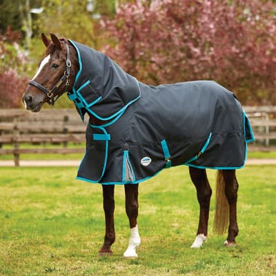 Weatherbeeta Comfitec Medium Premier Free Turn-a-Neck Turnout Rug