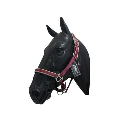 ProTack Headcollar Comfort Justerbar