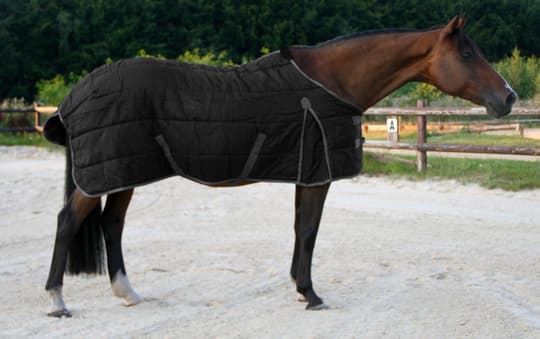 Hevonen Erinomainen vakaa viltti musta / harmaa 175cm