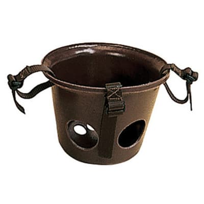 Stubbs Foal Muzzle