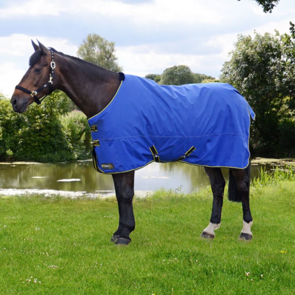Hy StormX Original 100 Turnout Rug
