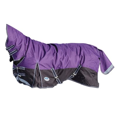 Weatherbeeta Comfitec Heavy Plus Dynamic Combo Neck Turnout Rug