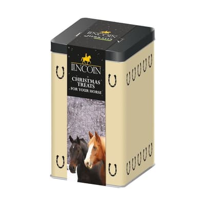 Lincoln Christmas Treats Tin