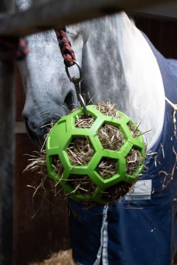 Hø Slowfeeder sjov og flex 20 cm rød - Fød langsomt hø og bekæmp kedsomhed