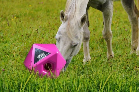 Maximus Feed & Play - fodre og behandle terning er måden at belønne eller fodre din hest på en legende måde