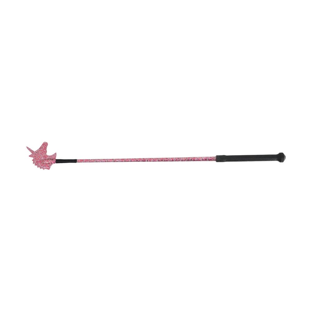 HySCHOOL Unicorn Riding Whip