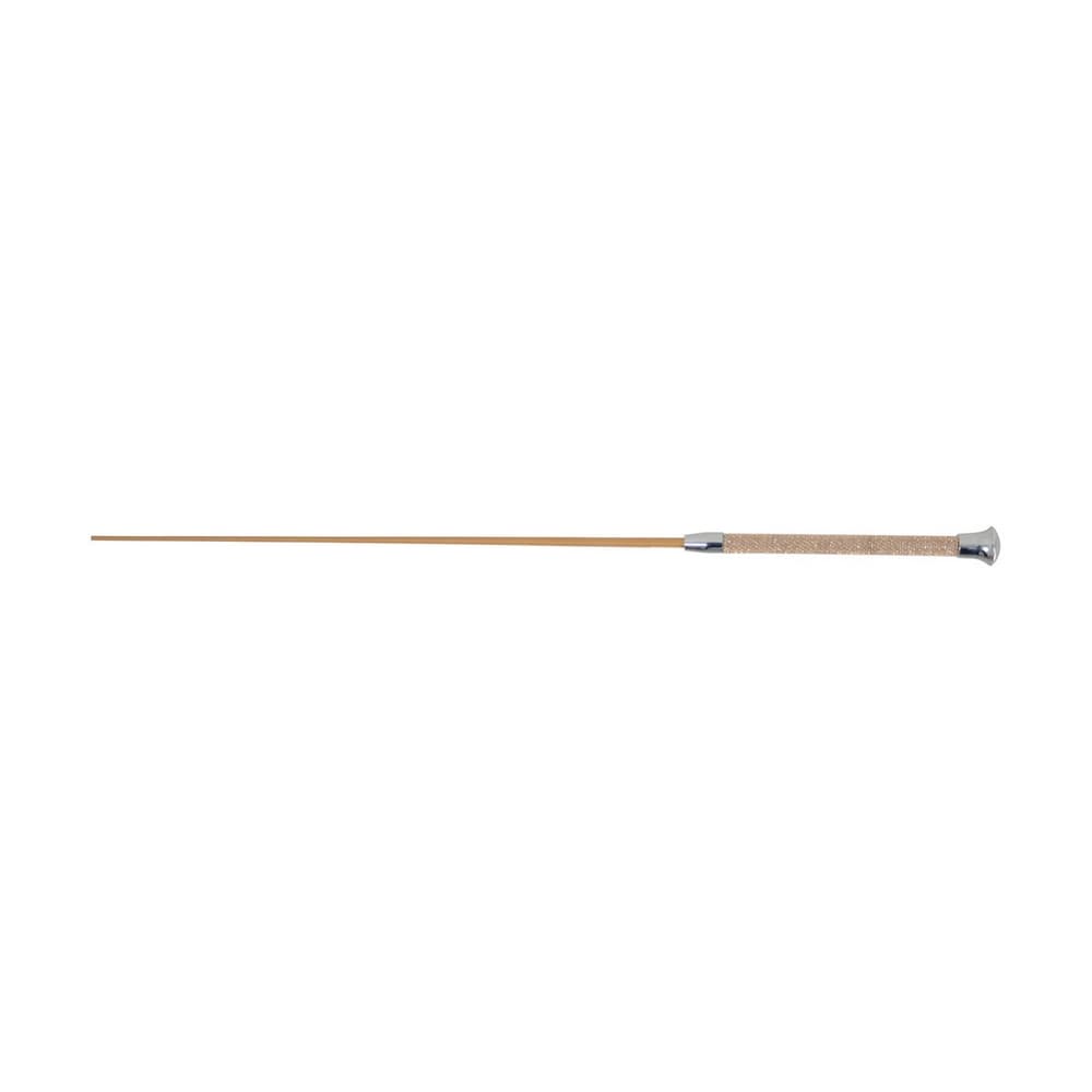 HySCHOOL Diamante Stoned Schooling Whip