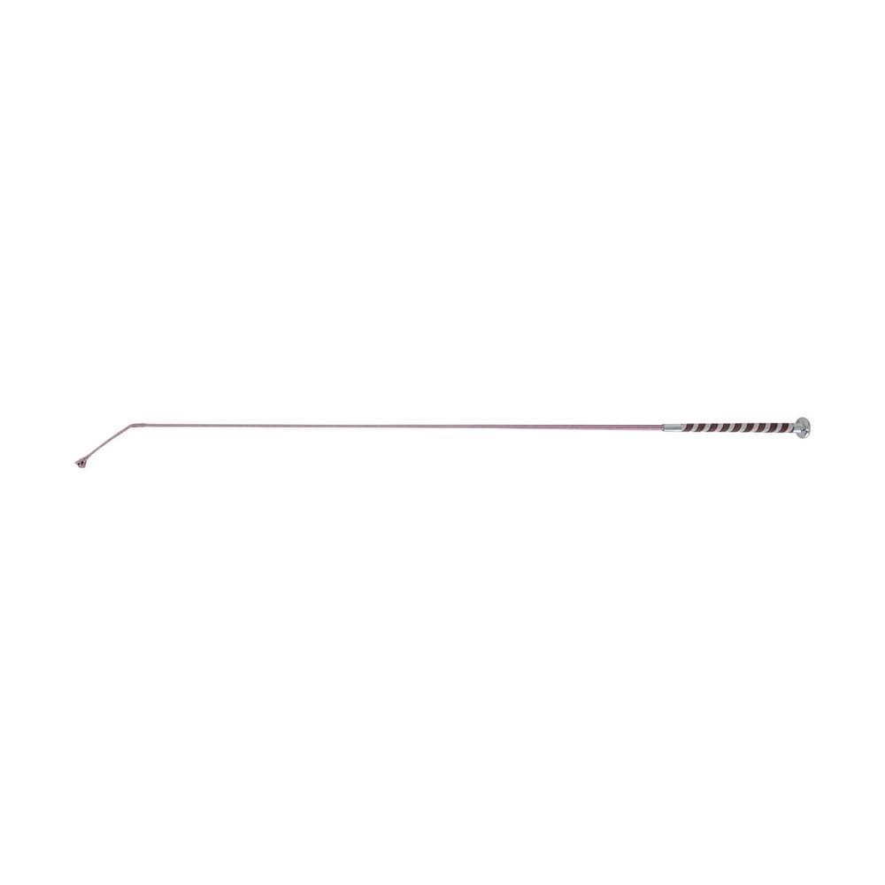 HySCHOOL Pirouette Schooling Whip