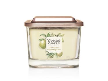Yankee Candle Citrus Grove, firkant, Gjennomsiktig, Gult, Citron, 1 stykker