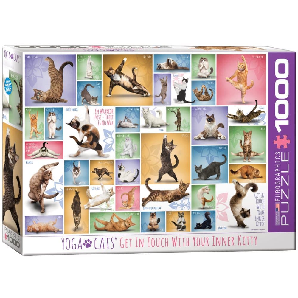 Yoga Cats, Pussel, 1000 bitar, Eurographics