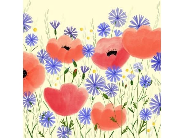 HENRY Pass B6 Poppy flowers