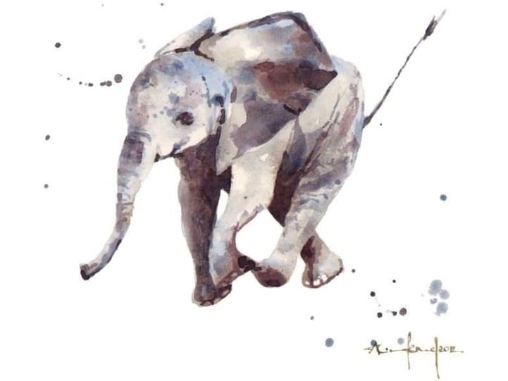 Museums & Galleries Small square pass with envelope - Hubert Elephant