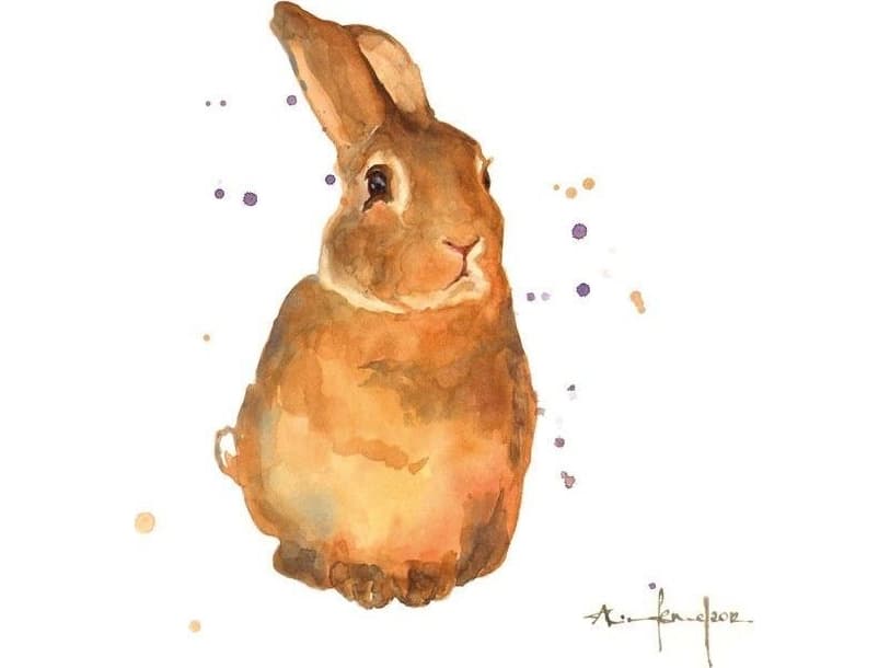 Museums & Galleries Small square pass - Benji Bunny (307970)