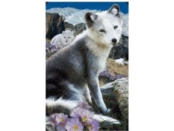 Worth-Keeping 3D Mini Card - Arctic Fox - WIKR-1000442