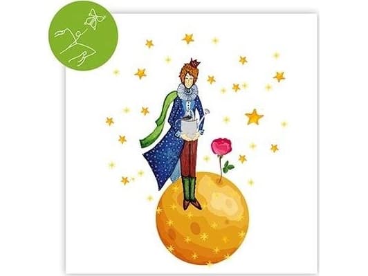 Cozywood square pass med en overraskelse The Little Prince