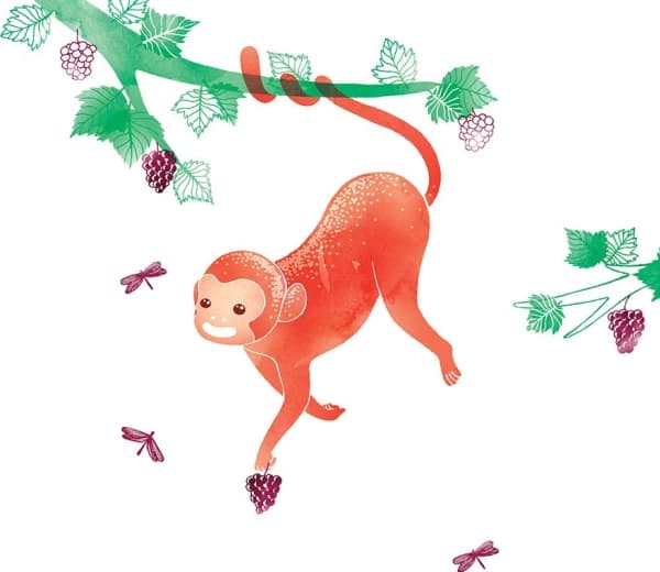 Clear Creation Swarovski Square Pass Monkey (CL2603)