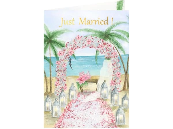 HENRY Pass B6 Wedding - Beach