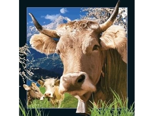 Verdt å beholde 3D Swiss Cow-postkort